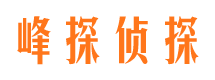 青铜峡市婚外情调查